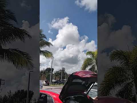 Stuart Air Show Heritage Flight on Practice Day   #aviation #usaf #f22 #a10 #f16 #p51mustang #p51