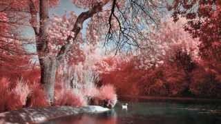 'Be My Love' -- Ray Conniff and His Orchestra