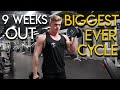 My Biggest Cycle Ever - 1050mg 9cc A Week!