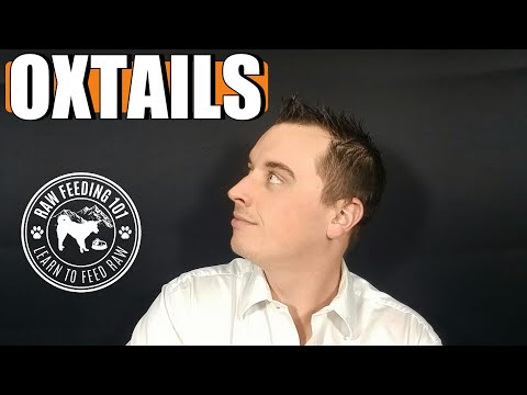 Can Dogs Eat Raw Oxtails