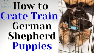 How To Crate Train German Shepherd Puppies