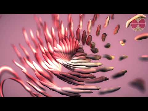 Schamanische Trommelreise | Kraftreise