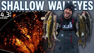 LOADED! First Ice Walleyes in SHALLOW Water (5 Feet 👀)