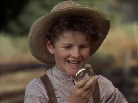 THE ADVENTURES OF TOM SAWYER Tom whitewashes the fence