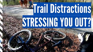 My 3 Secrets About Handling Distractions On The Trail