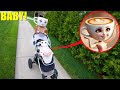 BALLERINA CAPPUCCINA HAD A BABY IN REAL LIFE ITALIAN BRAIN ROT FAMILY LORE