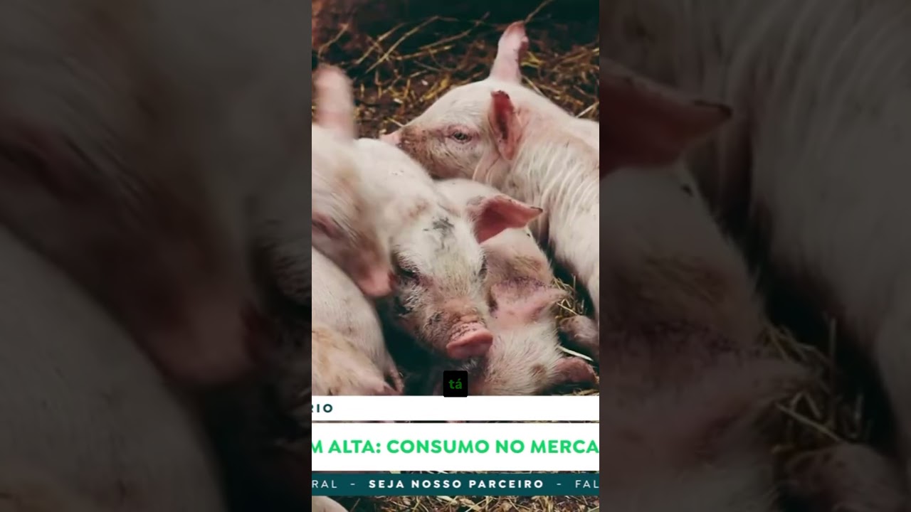 Carne suína em alta: consumo no mercado interno dispara!