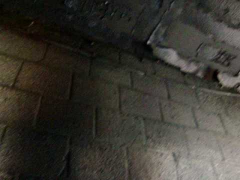 brand in bergin in daalhof