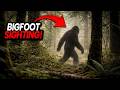 These Bigfoot Videos That Will Ruin Camping Forever