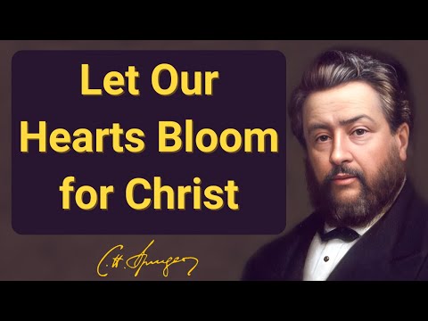 Que nuestros corazones florezcan para Cristo | Charles Spurgeon | Devocional | Mañana y tarde