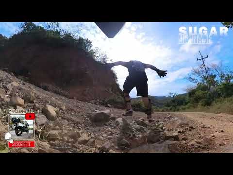 Sugar - Viaje con Calma