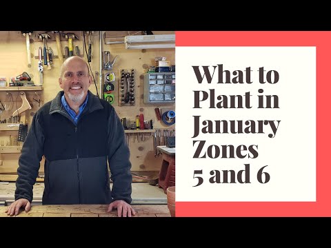 image-Can you plant seeds in Zone 5 in May? 