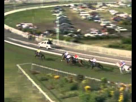 Cedric Segeon-Just Banter.flv