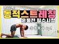 Lv.0 운동 전! 무적권 해야하는 동적스트레칭 (안하면 다침)