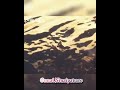 Ummai Nambum Nan Tamil Christian Song WhatsApp Status 2k21