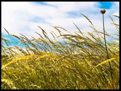 Deep relaxation - stress reduction - hypnosis - meditation