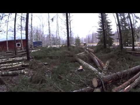 Metsolan Metsäkoulu 76, Savotalla