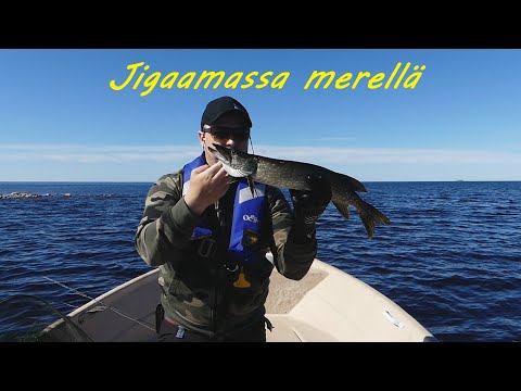 Jigikalassa merellä | Ahventa ja Haukea
