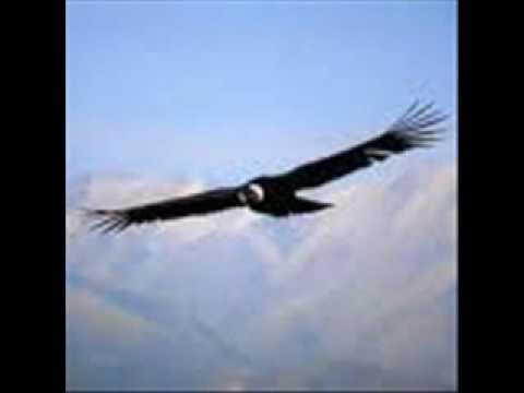 مرسيل خليفة يا طير الجنوبي