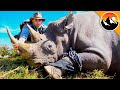 I Cut Off A Rhino S Horn