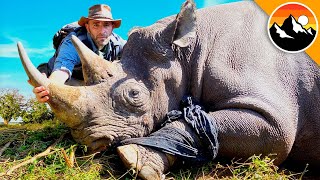 I Cut Off a Rhino's Horn. by Brave Wilderness