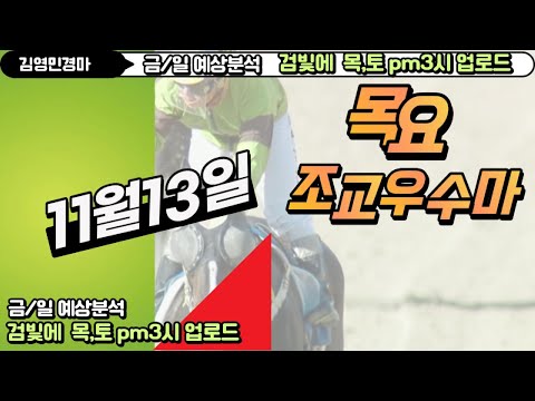 11/6-일요-부산-김영민경마 -목요조교우수마 3두