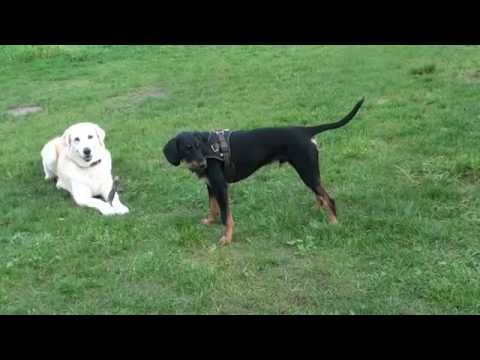 Eine Mitarbeiterin zeigt dem Chef wie es geht -  Kamera, Schnitt & Kommentar: Maike Maja Nowak