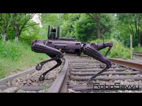 Unitree B1 Robot Dog