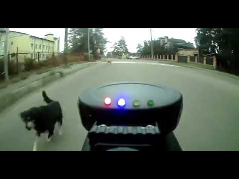 ultrasonic dog repeller