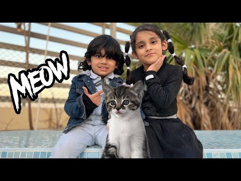 My Little Pet cat | Marwah and Abdul Rahman wants a pet.