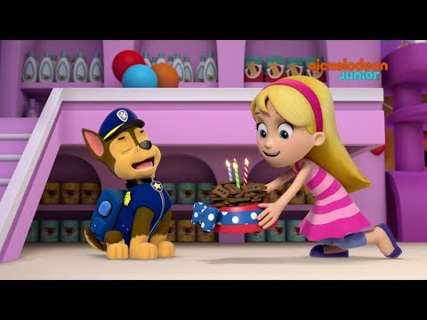 Paw Patrol : la Pat'Patrouille | L'anniversaire de Chase | NICKELODEON JUNIOR