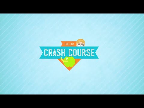 Crash Course Biology Preview