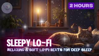 🌙 2 Hours Sleepy Lo-Fi – Relaxing & Soft Lo-Fi Beats for Deep Sleep