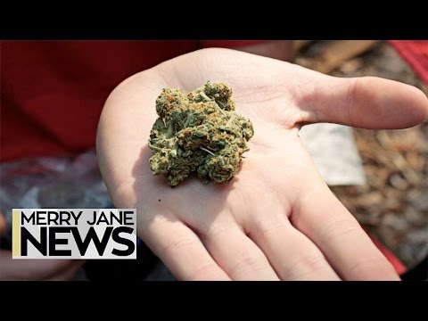 How to Fly With Your Stash | MERRY JANE News