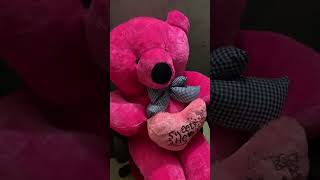 The Perfect Gift: Special Teddy Bear for Your Special Someone