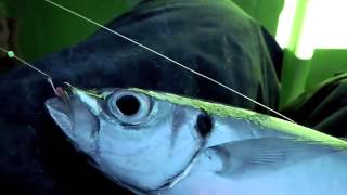 まさみ丸のイメージ