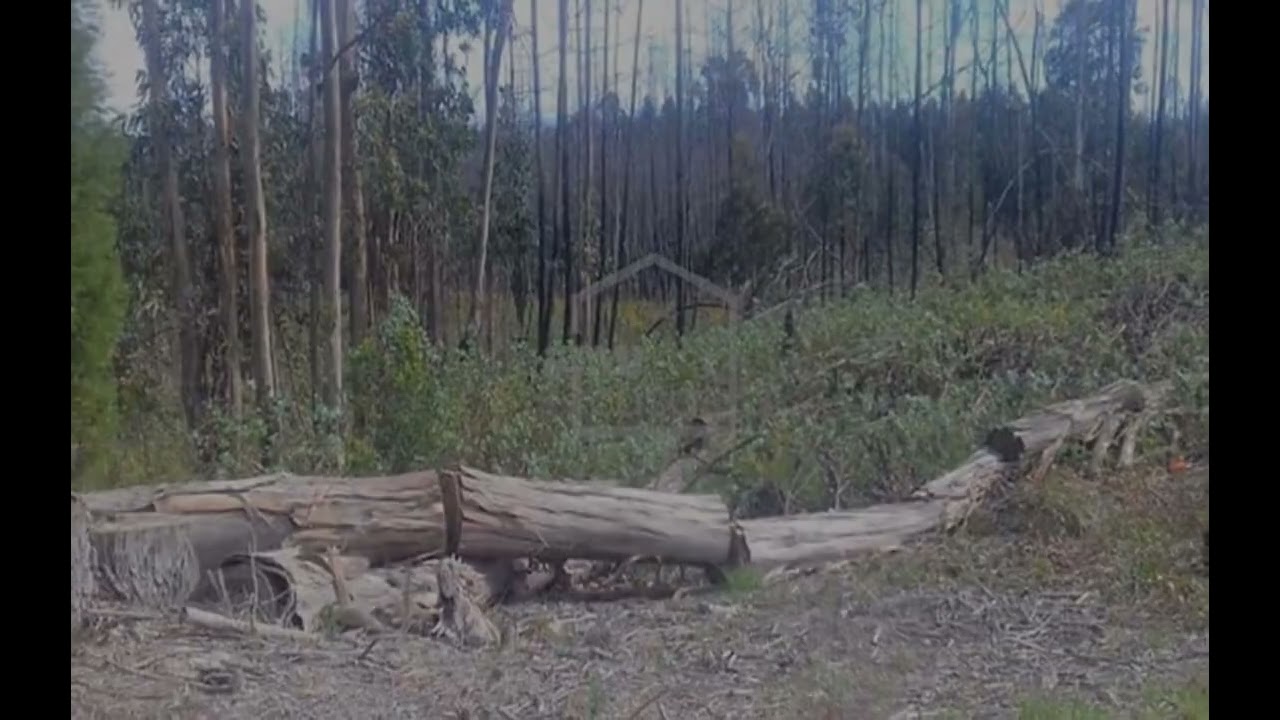 Vídeo do imóvel