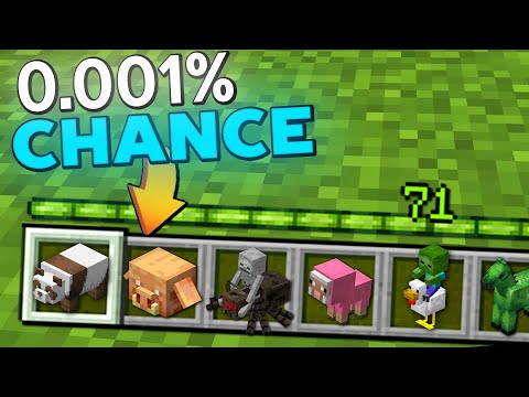 Unbelievable! Impossible to Find Minecraft Mob