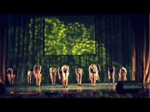 Opening of the Fandom Festival'11 by DMSTO