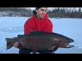 Video Thumbnail for Dec 3, Rainbow Trout