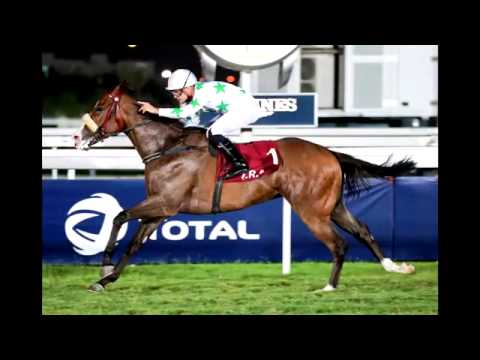 Cedric Segeon - Qatar Season 2015/16 Recap [All 13 Winners]