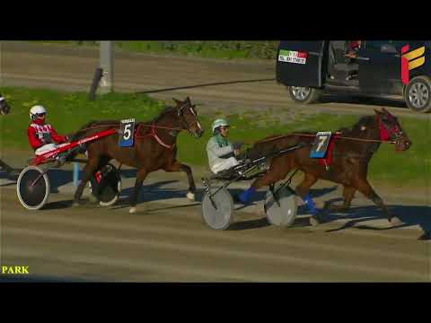 IV Corsa del 14 Gennaio 2022 - 5 Anni ed oltre Cat. E - Metri 1600