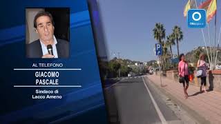 ischia-invasione-di-gamberetti-il-sindaco-niente-allarme