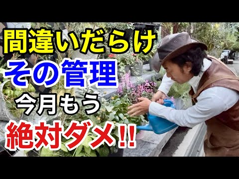 寒さに強い柑橘類をご存知ですか?知っておきたい丈夫な木ベスト3! 庭園