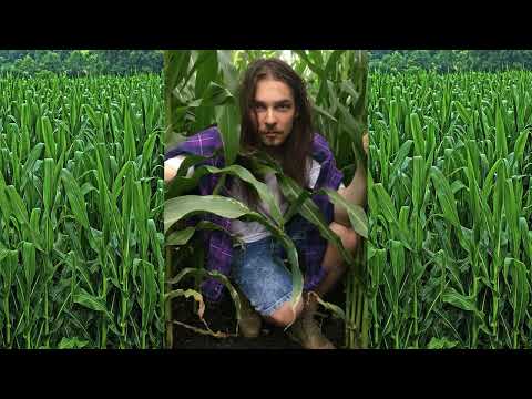 Vladimir Dubyshkin Live @ Reaktor 2019