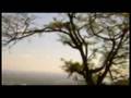 Karimizhi Kuruviye Malayalam Song In Flute
