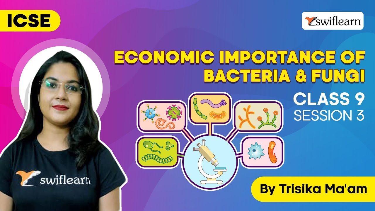 Economic Importance Of Bacteria & Fungi |Significance & Harmful effect |Class9 Biology |S3-Swiflearn