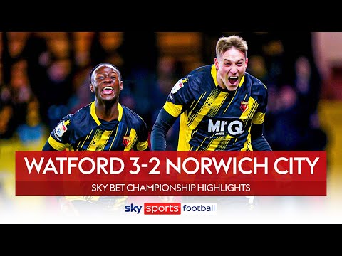 HIGHLIGHTS, Cardiff City 2-3 Norwich City