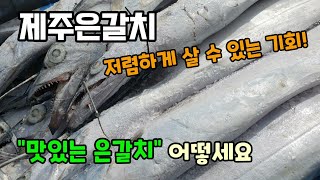 제주은갈치 선동갈치10kg 소비촉진 할인행사중으로 저렴할때 맛있는 제주산갈치 서귀포수협에서 구입해보세요.