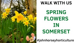 WILD BLOOMS TURN SOMERSET INTO A NATURAL PARADISE